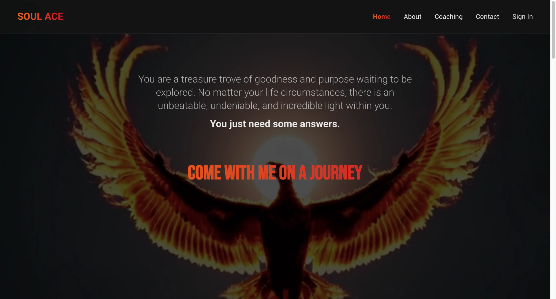 Soul Ace Coaching project